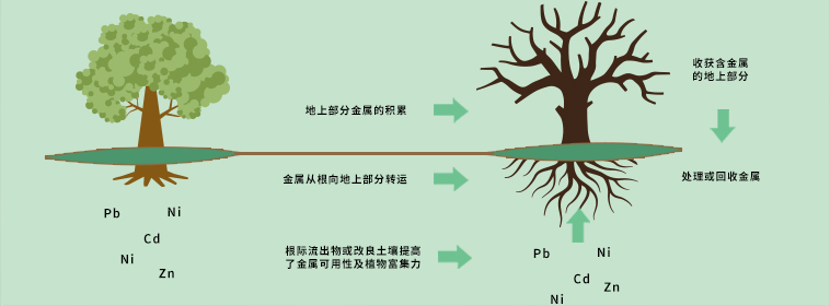 土壤修復(fù)及環(huán)境治理